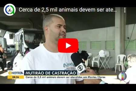 Mutirão de Castração